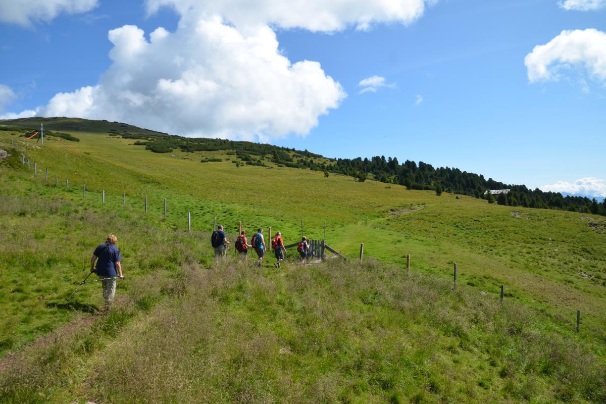 Platzer Alm 14.07.2023